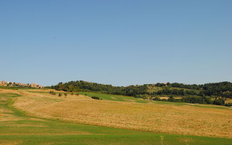 Lina - Podere Ribatti - Casole D'elsa, Toscana: Ciel, Plante, Paysage Naturel, Pente, Arbre, Agriculture, Plaine, Montagnes Relief, Herbe, Prairie