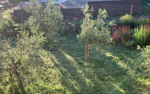 Lina - Podere Ribatti - Casole D'elsa, Toscana: Plante, Communauté Des Plantes, Paysage Naturel, Arbre, Lot Terre, Fenêtre, Herbe, Véhicule, Prairie, Couverture De Sol