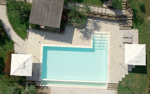 Villa Le Ripe - Gambassi Terme, Toscana: Plante, Vert, La Nature, Feuille, L'Eau, Botanique, Lot Terre, Design Urbain, Végétation, Pente