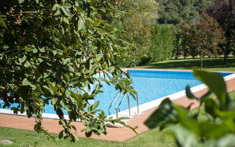Villa Niccone: L'Eau, Plante, Communauté Des Plantes, Vert, Ombre, Piscine, Végétation, Mobilier De Jardin, Plan D'Eau, Herbe