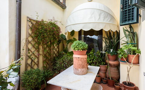 Residenza Del Desco: Plante, Propriété, Bâtiment, Pot De Fleur, Plante D'Appartement, Bois, Design Intérieur, Sol, Fenêtre, Sol