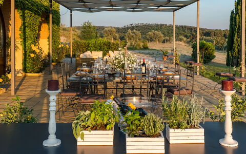 Villa Bagnoli: Plante, Propriété, Table, Lumière, Ombre, Pot De Fleur, Botanique, Éclairage, Mobilier De Jardin, Architecture