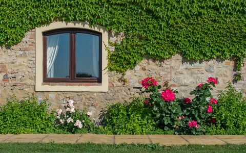 Villa Bagnoli: Fleur, Plante, Fenêtre, Feuille, Botanique, Architecture, Végétation, Bâtiment, Rectangle, Herbe