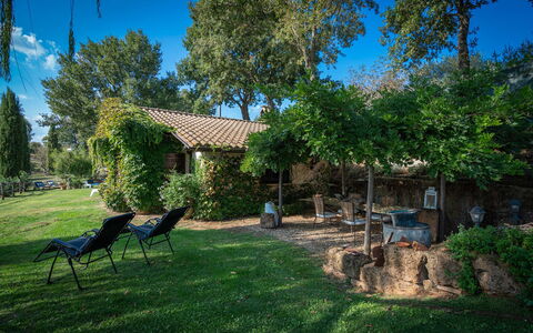 Casale Delle Papere, Pool, Romantic Holiday In Nep: Plante, Ciel, Fenêtre, Bâtiment, Paysage Naturel, Arbre, Ombre, Herbe, Lot Terre, Maison