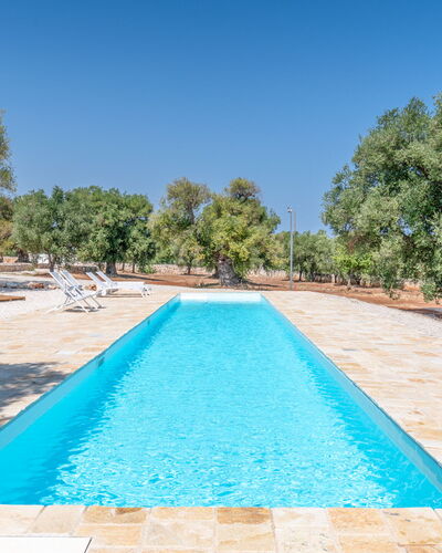 Casa Di Veronica: L'Eau, Ciel, Piscine, Bleu Azur, Arbre, Ombre, Plan D'Eau, Plante, Loisir, Herbe