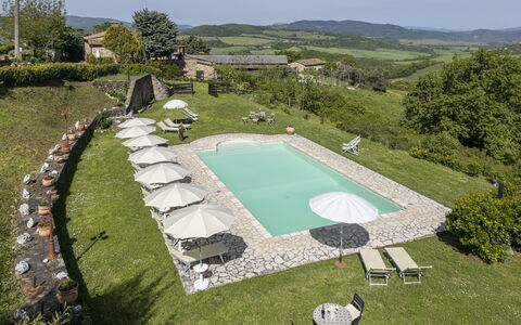 Podere Marcigliana - Radicondoli: Plante, Ciel, Arbre, Lot Terre, Piscine, Design Urbain, Paysage, Loisir, Ombre, Herbe