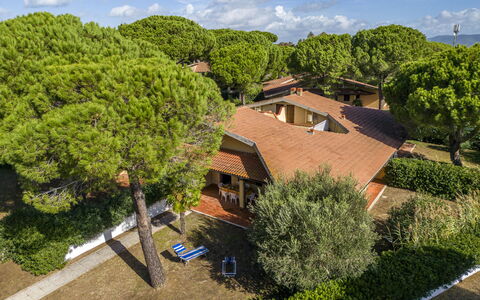 Argentario Giannella Apartment- Orbetello, Toscana: Nuage, Plante, Propriété, Bâtiment, Ciel, Communauté Des Plantes, Arbre, Fenêtre, Végétation, Architecture