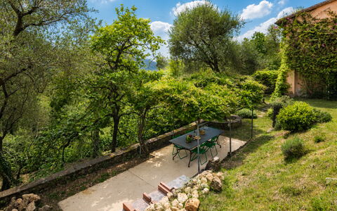 La Casa Dei Limoni, Camaiore, Pet Friendly, Wifi: Feuille, Végétation, Arbuste, Zone Rurale, Communauté Des Plantes, Jardin, Lot Terre, Couverture De Sol, Printemps, Lumière Du Soleil