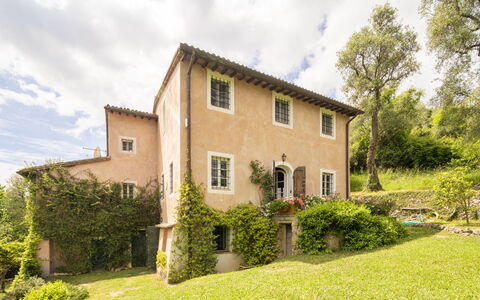 La Casa Dei Limoni, Camaiore, Pet Friendly, Wifi: Arbre, Herbe, Maison, Arbuste, Domicile, Zone Rurale, Chalet, Paysage, Lot Terre