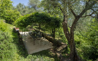 location de vacances La Casa dei Limoni, Camaiore, Pet Friendly, Wifi - Camaiore, Toscane, Italie