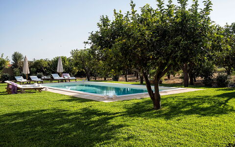 Casa Colore - Siracusa, Sicilia: Plante, Ciel, L'Eau, Bâtiment, Arbre, Piscine, Ombre, Paysage Naturel, Loisir, Herbe