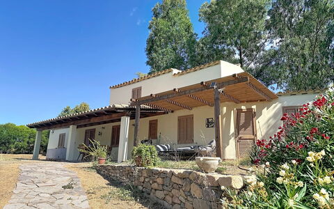 Eucalipto: Domicile, Maison, Chalet, Ferme, Ombre, Biens, Jardin, Hacienda, Arrière-Cour, Cour