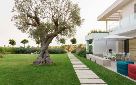 Splendida - Modica, Sicilia: Plante, Ciel, Vert, Bâtiment, Arbre, Lot Terre, Ombre, Design Urbain, Herbe, Maison