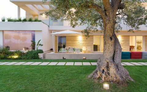 Splendida - Modica, Sicilia: Plante, Propriété, Arbre, Bâtiment, Lot Terre, Sol, Herbe, Loisir, Immobilier, Arecales