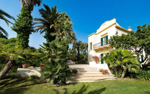 Casa Fiore - Salemi, Sicilia: Ciel, Plante, Bâtiment, Arbre, Fenêtre, Arecales, Zone Résidentielle, Paysage, Façade, Design Urbain