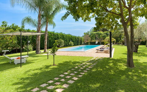 Oasi Verde - Santa Maria La Stella, Sicilia: Plante, L'Eau, Ciel, Piscine, Arbre, Ombre, Mobilier De Jardin, Lot Terre, Loisir, Arecales