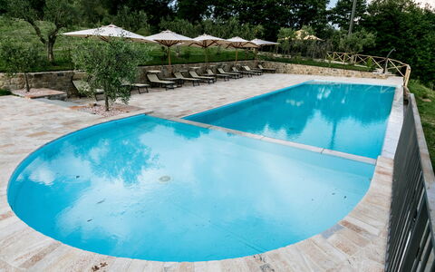 Villa Niccione: L'Eau, Plante, Piscine, Bleu Azur, Arbre, Rectangle, Ombre, Aqua, Composite, Loisir