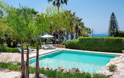 Villa Diamante - Siracusa, Sicilia: L'Eau, Plante, Ciel, Propriété, Botanique, Bleu Azur, La Nature, Piscine, Paysage Naturel, Végétation