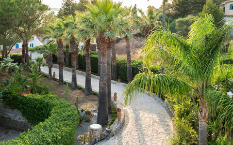 Villa Diamante - Siracusa, Sicilia: Plante, Communauté Des Plantes, Bâtiment, Botanique, Arbre, Végétation, Arecales, Fenêtre, Terrestre Des Plantes, Suppression Des Plantes Ligneuses