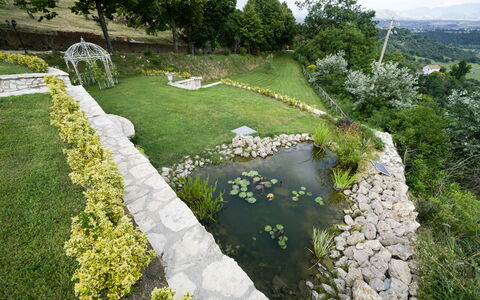 Luxury Villa Con Spa e Panorama a 40 Min Da Roma: Plante, Communauté Des Plantes, Fleur, Botanique, La Nature, Arbre, Paysage Naturel, Végétation, Herbe, Lot Terre