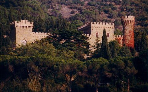 Palazzo Trasimeno: Plante, Paysage Naturel, Bâtiment, Arbre, Végétation, Paysage, Ville, Château, Colline, Médiéval Architecture