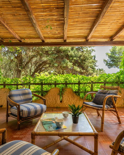 La Casetta del Mare: Table, Plante, Meubles, Propriété, Chaise, Pot De Fleur, Ombre, Mobilier De Jardin, Design Intérieur, Plante D'Appartement