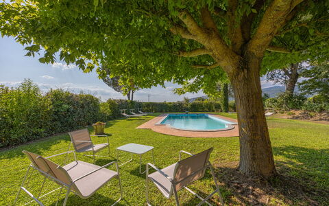 Villa Marconi: Plante, Communauté Des Plantes, Meubles, Table, Arbre, Ombre, Mobilier De Jardin, Lot Terre, Végétation, Chaise