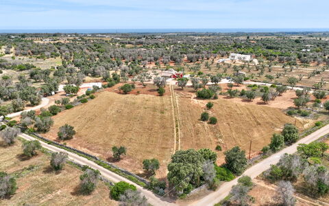 Lamia del Grano: Ciel, Plante, Communauté Des Plantes, Écorégion, Arbre, Lot Terre, Nuage, Végétation, Design Urbain, Zone Résidentielle