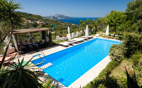 Villa Il Sole Di Sorrento: L'Eau, Plante, Ciel, Propriété, Piscine, Bleu Azur, Arbre, Botanique, Végétation, Arecales