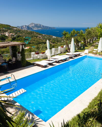 Villa Il Sole Di Sorrento: L'Eau, Plante, Ciel, Propriété, Piscine, Bleu Azur, Arbre, Botanique, Végétation, Arecales