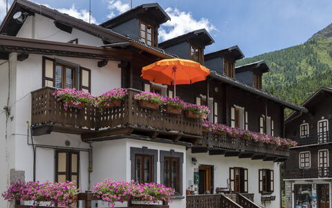 Appartamento Piazza Centrale: Fleur, Plante, Bâtiment, Ciel, Propriété, Fenêtre, Nuage, Maison, Architecture, Quartier