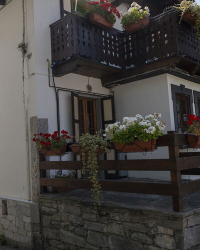 Appartamento Piazza Centrale: Plante, Bâtiment, Propriété, Fenêtre, Pot De Fleur, Porte, Maison, Plante D'Appartement, Bois, Surface De La Route