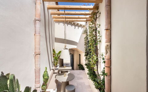 Alma Suite: Plante, Propriété, Bâtiment, Architecture, Design Intérieur, Bois, Plante D'Appartement, Table, Terrestre Des Plantes, Immobilier