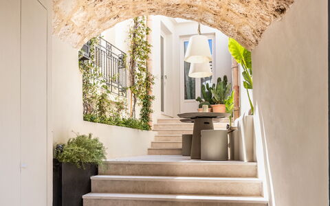 Alma Suite: Plante, Bâtiment, Design Intérieur, Plante D'Appartement, Fenêtre, Mur, Bois, Escaliers, Façade, Sol