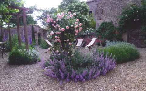 Casa Di Pietro In Vivo D'orcia, Pool: Fleur, Arbuste, Jardin, Rose, Couverture De Sol, Violet, Plante À Fleurs, Aménagement Paysager, Cour, Arrière-Cour