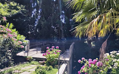 Casa sul Torrente: Végétation, Arbuste, Jardin, Printemps, Aménagement Paysager, Arrière-Cour, Ombre, Cour, Jardin Botanique