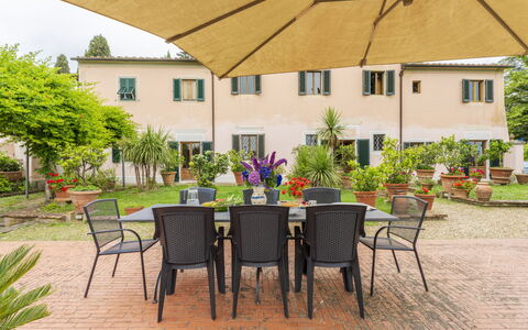 Villa Montegattoli, Pool, Landscape, Wifi, Ac: Plante, Table, Meubles, Fenêtre, Bâtiment, Chaise, Mobilier De Jardin, Arbre, Tableau De Plein Air, Jaune