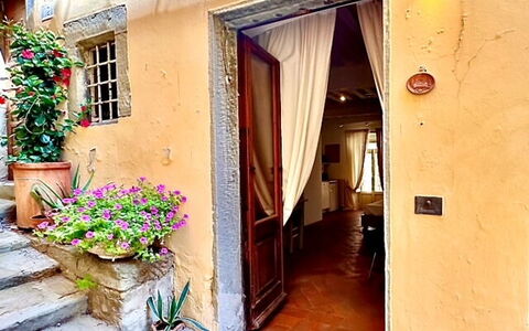 Vicolo Della Scala Rooms: Plante, Propriété, Bâtiment, Fenêtre, Fleur, Bleu Azur, Pot De Fleur, Porte, Bois