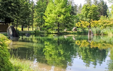 Carli: L'Eau, Plan D'Eau, Arbre, Ressources En Eau, Vert, La Nature, Environnement Naturel, Paysage Naturel, Cours D'Eau, Réflexion