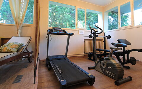 Provenzale Apartment, Garda Lake, Jacuzzi, Fitness: Propriété, Machine D'Exercice Physique, Fenêtre, Bois, Design Intérieur, Sol, Sol, Dur, Equipement D'Exercice