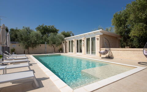 Terra Mater: Piscine, Composite, Biens, Recours, Mobilier De Jardin, Caractéristique De L'Eau, Tuile, Ombre, Béton, Conception