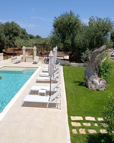 Terra Mater: Piscine, Mobilier De Jardin, Recours, Jardin, Dalle, Biens, Aménagement Paysager, Arrière-Cour, Hacienda, Ombre