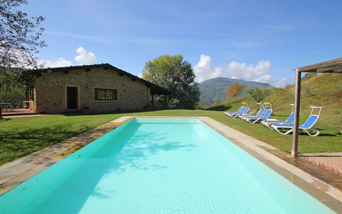 Casetta Verde: L'Eau, Nuage, Ciel, Plante, Propriété, Piscine, Bâtiment, Bleu Azur, Ombre, Arbre