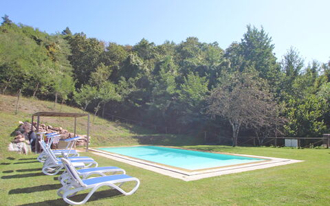 Casetta Verde: Plante, Ciel, Piscine, Mobilier De Jardin, Ombre, Lot Terre, Chaise, Arbre, Paysage, Herbe