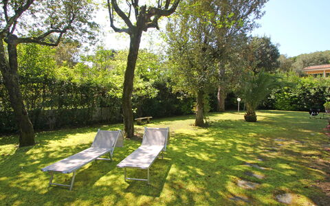 Villa Le Macchie: Plante, Ciel, Arbre, Ombre, Paysage Naturel, Lot Terre, Lumière Du Soleil, Paysage, Loisir, Herbe