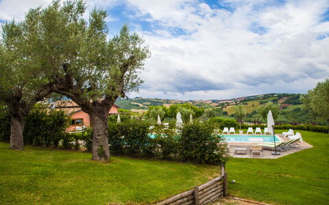 Villa Angelica: Nuage, Ciel, Plante, La Nature, Paysage Naturel, Arbre, Végétation, Lot Terre, Herbe, Paysage