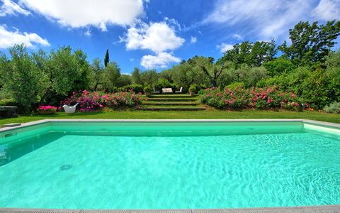Villa Mami: L'Eau, Nuage, Ciel, Plante, Piscine, Arbre, Bleu Azur, Rectangle, Herbe, Loisir