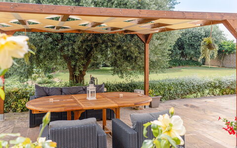 Cyca Holiday Home: Plante, Fleur, Table, Propriété, Meubles, Botanique, Tableau De Plein Air, Ombre, Mobilier De Jardin, Jaune