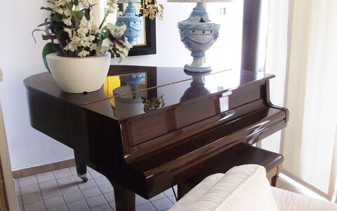 Villa Paradiso: Propriété, Meubles, Plante, Blanc, Pot De Fleur, Design Intérieur, Bois, Confort, Sol, Sol