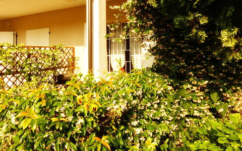 Casa Vacanze Sabrina: Plante, Bâtiment, Végétation, Lumière Du Soleil, Suppression Des Plantes Ligneuses, Couverture De Sol, Herbe, Teintes Et Ombres, Arbuste, Paysage Naturel